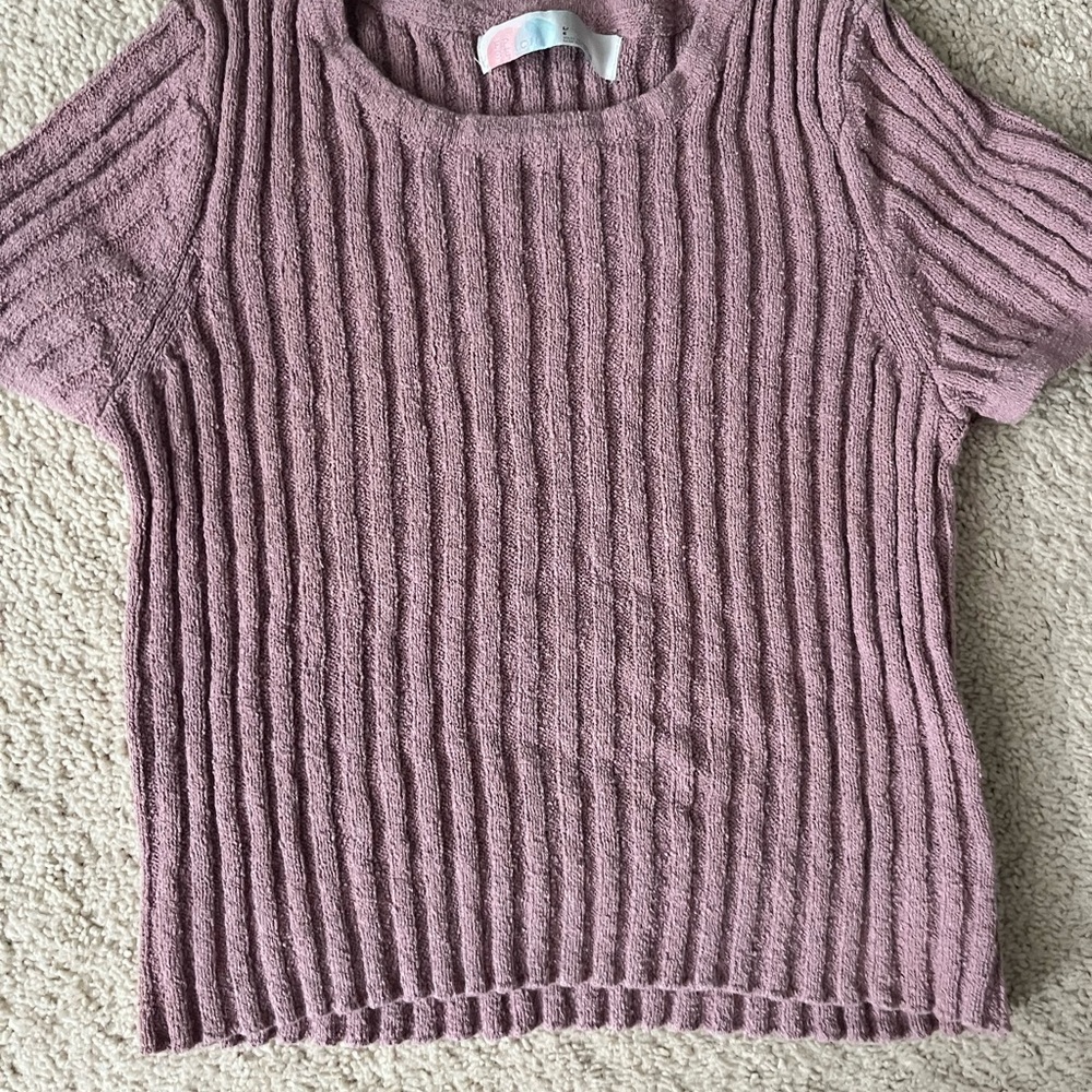 Free People Beach Ribbed Knit Short Sleeve Top in Mauve